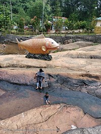 Meenpidippara ,kottarakkara