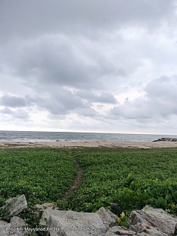 Sea